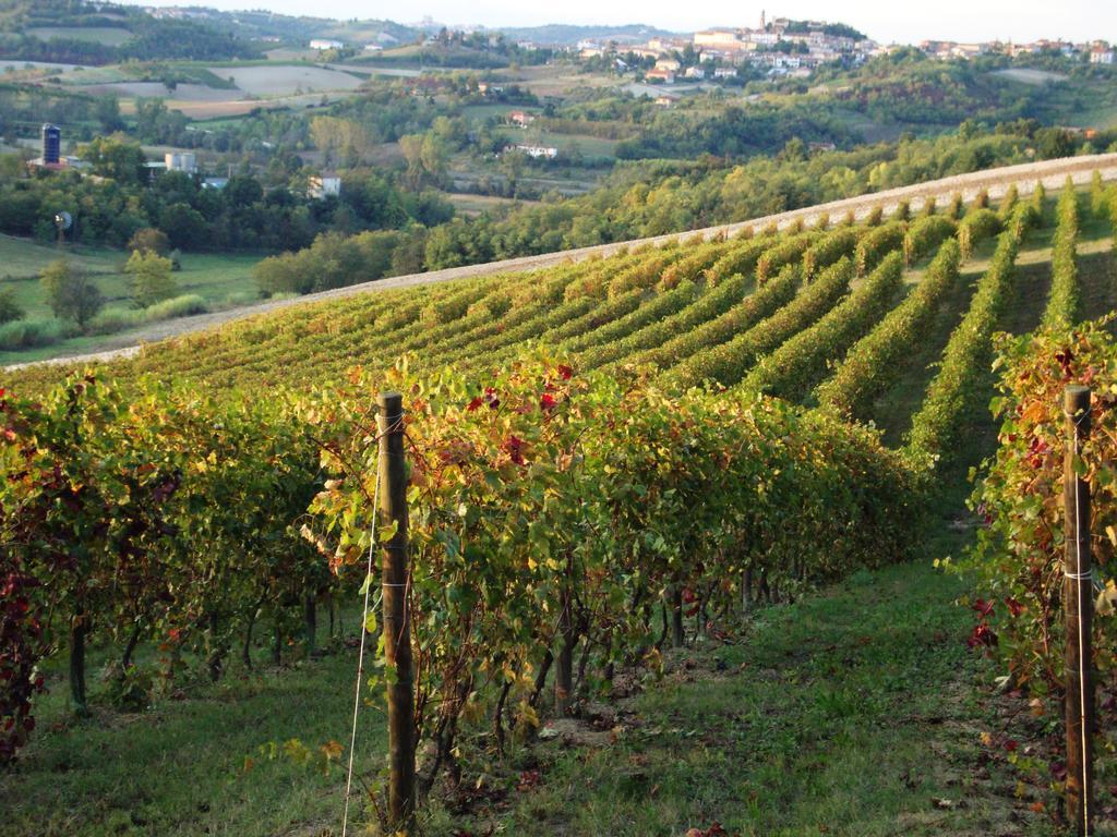 Гостьовий будинок La Commedia Della Pentola Lu (Piedmont) Екстер'єр фото
